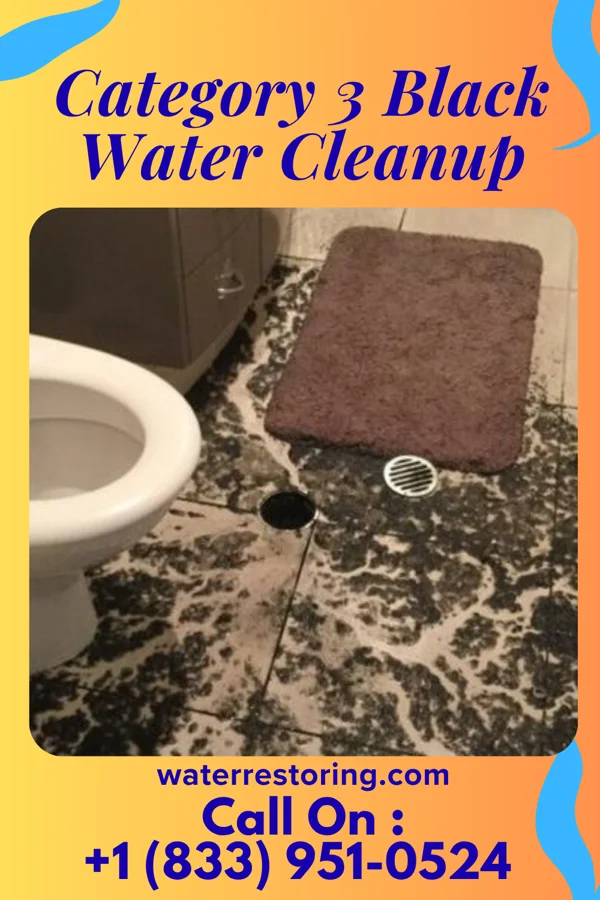 Category 3 Black Water Cleanup in Fairview, IL